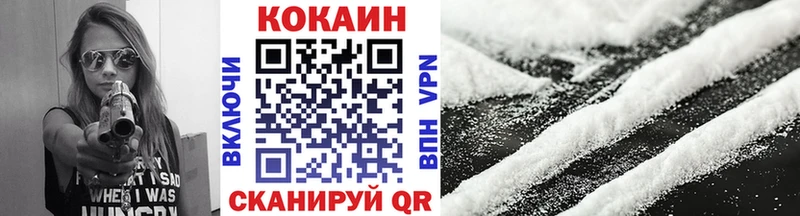 COCAIN Fish Scale  Купить где  Сысерть 