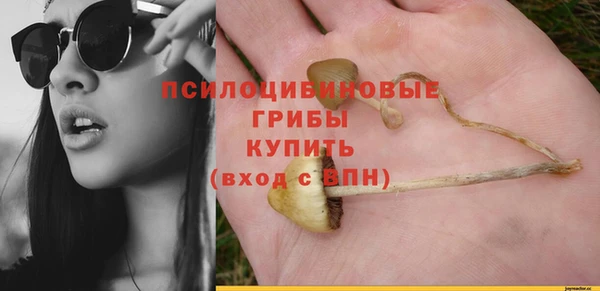 стафф Карпинск