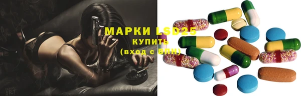 стафф Карпинск
