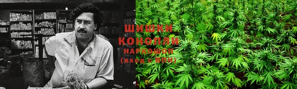 стафф Карпинск
