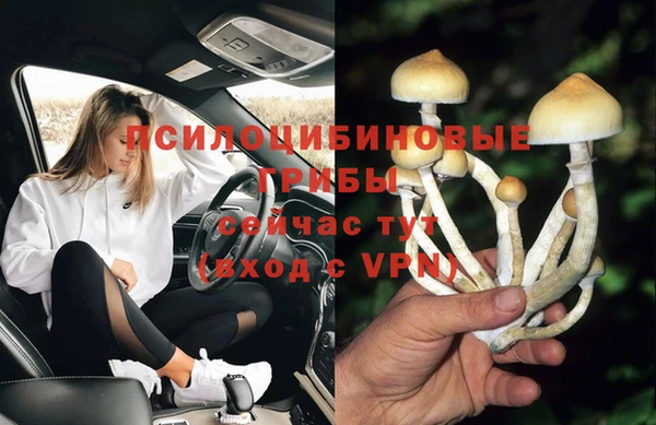 стафф Карпинск