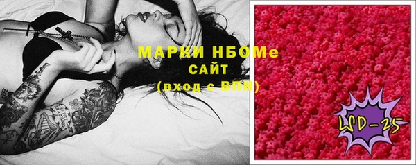 стафф Карпинск
