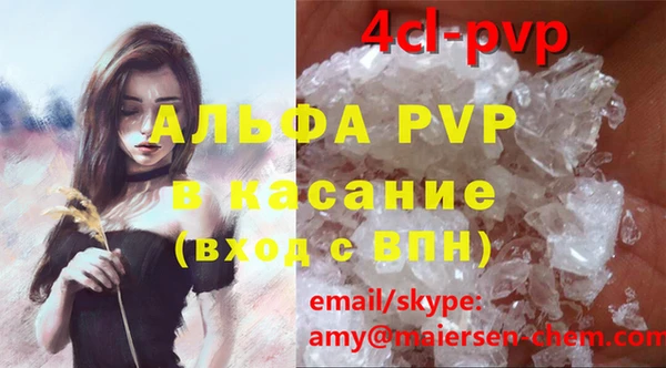 стафф Карпинск