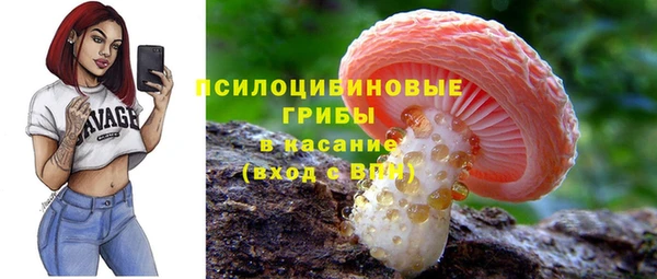стафф Карпинск